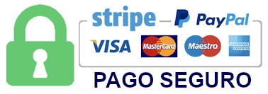 Pago seguro